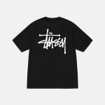 BASIC-STUSSY-TEE-PIGMENT-DYED-640x800.jpg