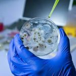 How-a-Gut-Microbiome-Test-Helps-Identify-Gut-Health-Imbalances.jpg