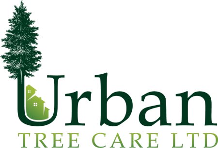 Urban Tree Care