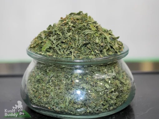 Same Day Weed Delivery in Halton Region Guide