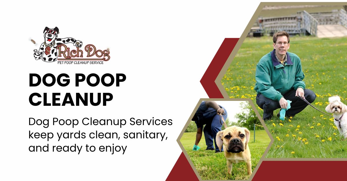 Dog Poop Cleanup Services in Surprise: Reclaim Your Yard with Rich Dog