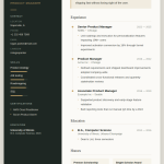 resume-template-premium.png