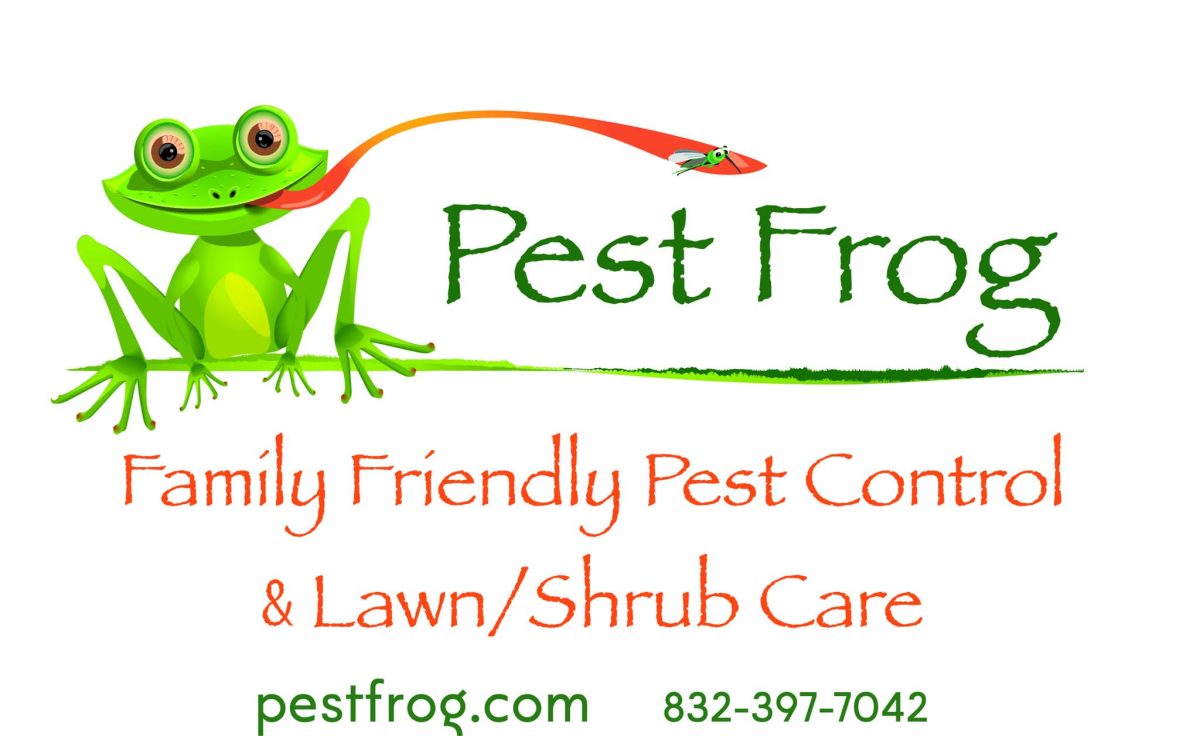 Protect Your Home from Pests and Rodents in Houston & Spring, TX