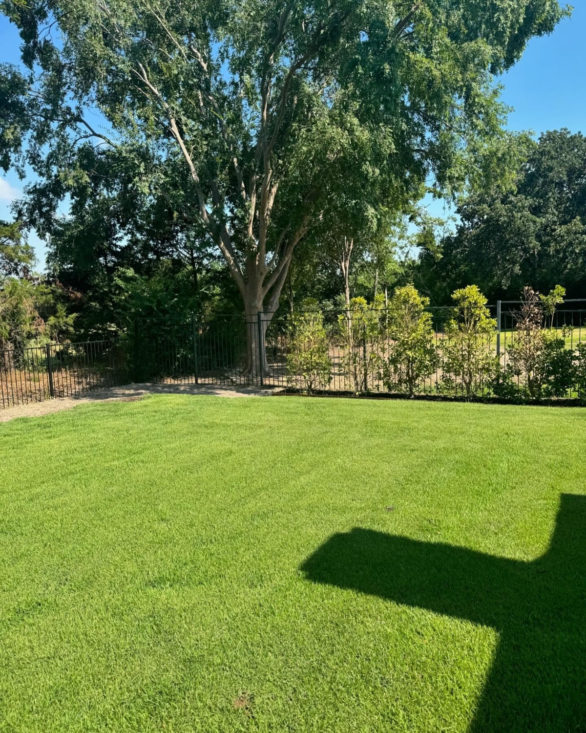 Modern Southlake Landscaping Ideas for a Beautiful and Easy to Maintain Yard