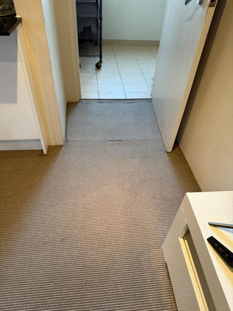 Carpet Restoration in Sydney
